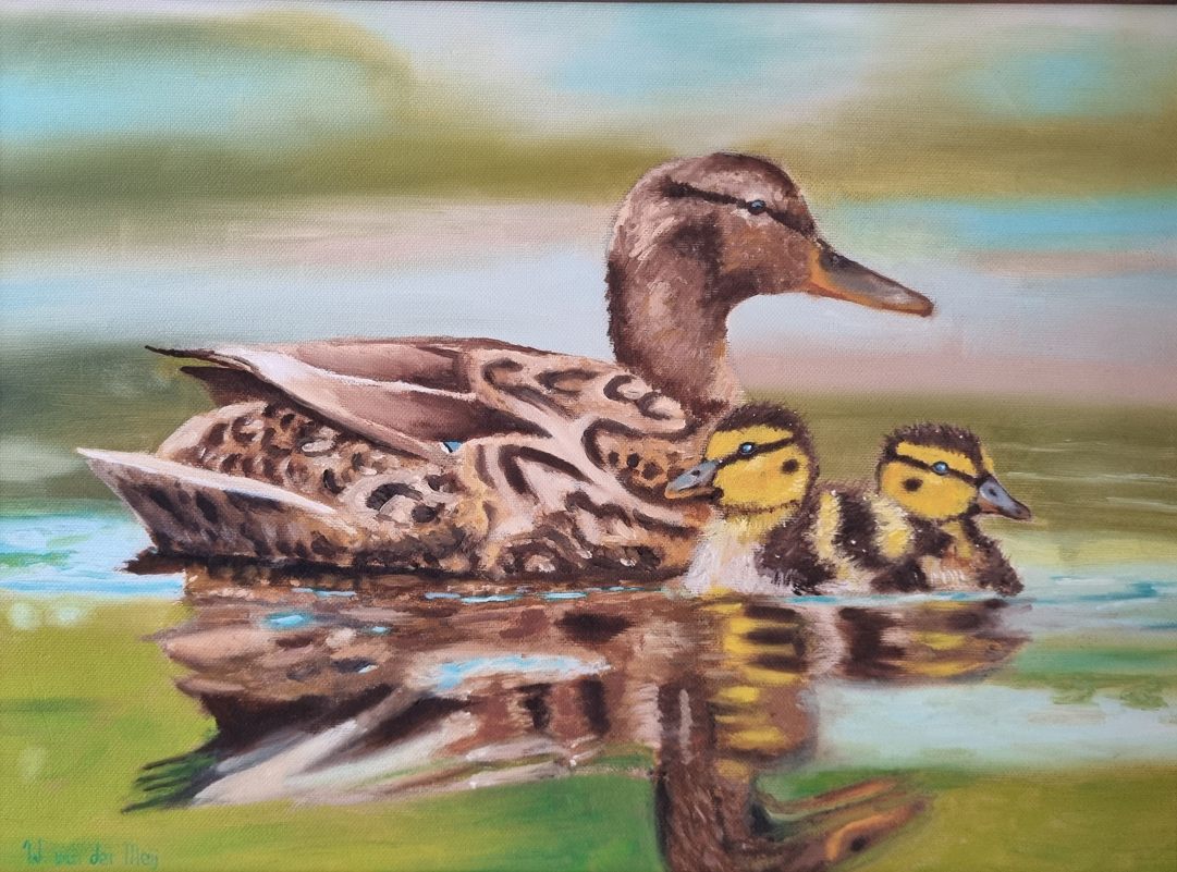 Duck with ducklings